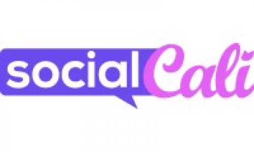Great experience working with Social Cali! They improved our website traffic and social media engagement in just a few months.