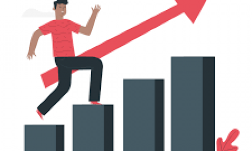 Frank and his team have a complete understanding of online marketing and have taken our business to the next level.