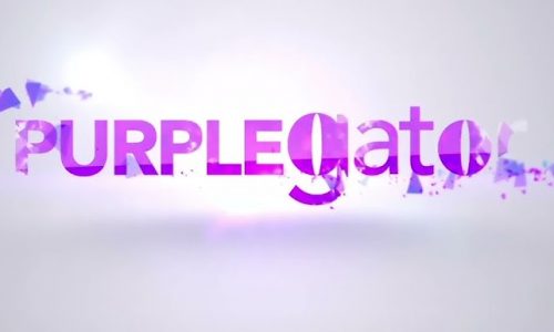 Purplegator Exceeded Our Expectations