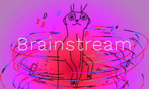 During my time at Brainstream Technolab, I experienced a positive and professional work environment.
