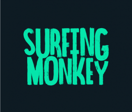 Surfing Monkey