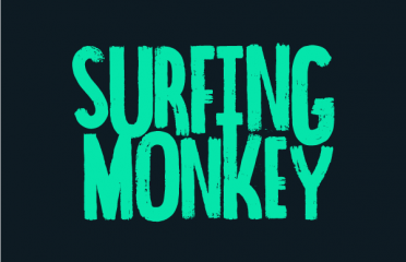 Surfing Monkey